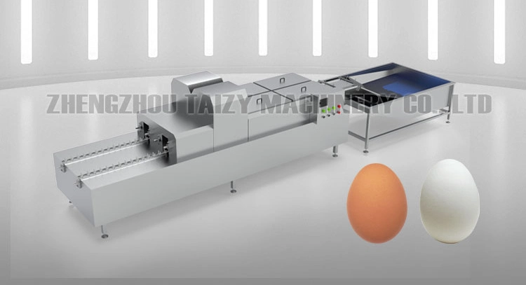 Automatic Brush Egg Washing Candling Oil Spraying Machine Egg Processing Line