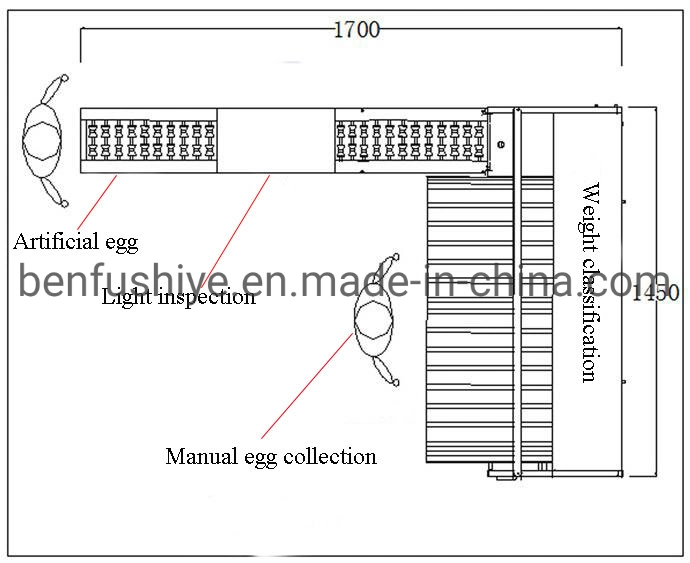 Cheap Automatic Egg Printing Machine Egg Washing Equipment Chicken Egg Grading Line