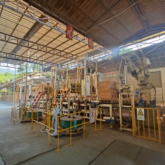 Full Automatic Egg Roll Chocolate Cereal Bar Cookies Packaging Line Biscuit Feeder Egg Roll Packing Line