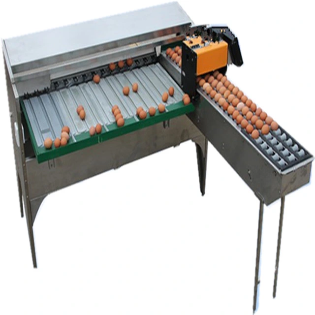 Egg Weighing Grading Machine