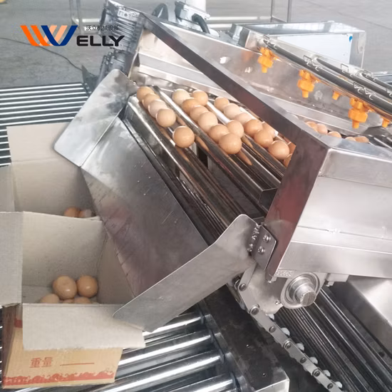 Máquina peladora de huevos cocidos industrial Máquina de ebullición de huevos Cocina de calderas de huevos