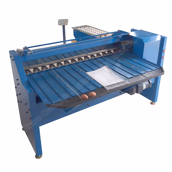 Clasificadora de huevos de alta calidad Máquina clasificadora de huevos Clasificadora de huevos