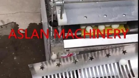 Peladora de huevos de codorniz hervida +86 17335571519