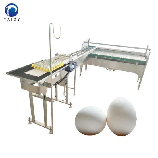 Maquinaria para clasificar huevos Clasificadora de huevos Equipo para aves de corral Máquina clasificadora de huevos