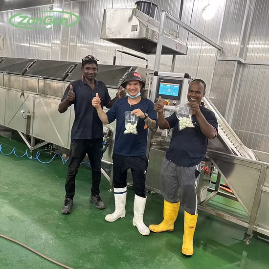 Peladora automática de huevos de codorniz, máquina peladora de huevos de codorniz para huevos de codorniz hervidos