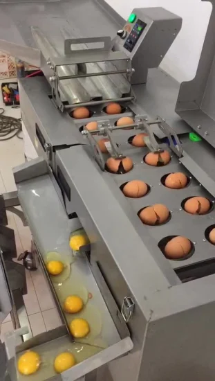 Línea de producción personalizada en caliente Separador de clara de huevo y líquido de yema de máquina
