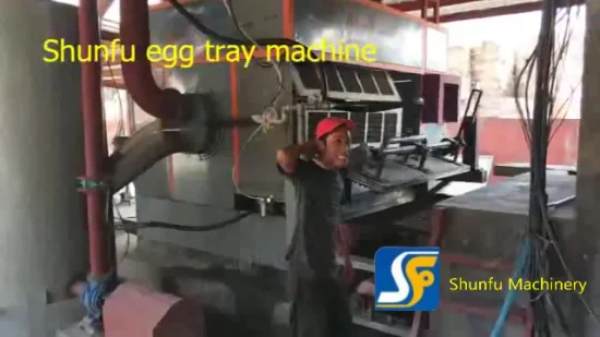 Máquina para fabricar bandejas de papel para frutas/máquina formadora de bandejas para huevos de pulpa con alto rendimiento