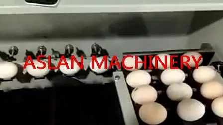 Clasificadora de huevos de buena calidad con alta eficiencia/máquina clasificadora eléctrica de huevos/nuevo tipo de máquina clasificadora de peso de huevos de pato