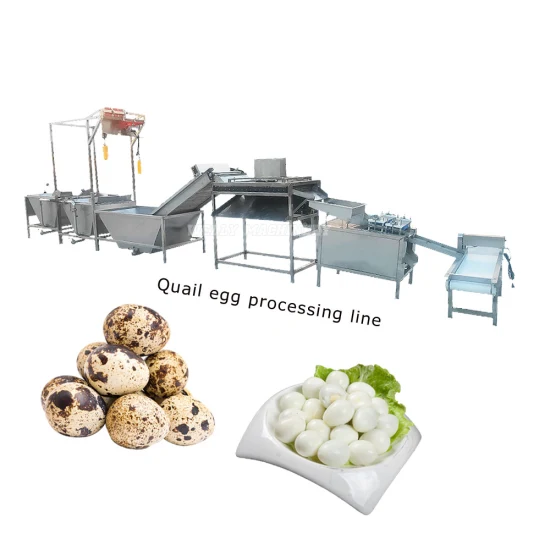 Máquina descascaradora de limpieza de huevos de codorniz de suministro de fábrica Línea de fabricación de pelado de huevos de codorniz