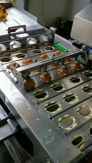 La fabricación automática se puede personalizar Maquinaria para galletas Trituradora de huevos