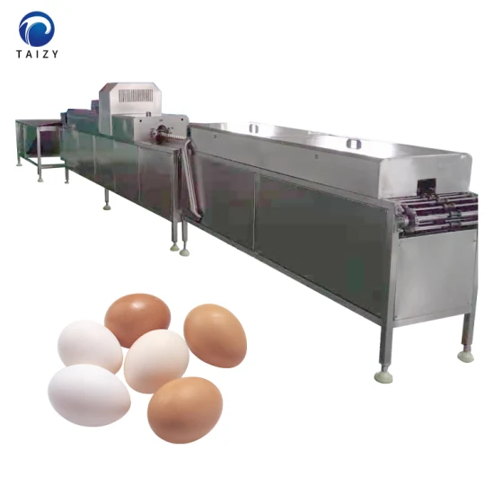 Lavadora de huevos de aves de corral de acero inoxidable, máquina limpiadora de huevos de gallina, lavadora de huevos de pollo
