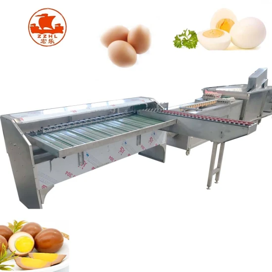 Maquinaria de embalaje de clasificación de lavado de huevos Clasificadora automática de escala de huevos